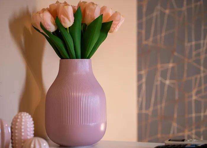 Alojamento de Acomodação e Pequeno-almoço Aj And Breakfast